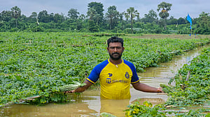 পাহাড়ি ঢলে কুমিল্লায় ডুবেছে ক্ষেত