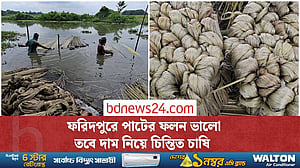 আবাদে বেড়েছে খরচ, পাটের দাম নিয়ে চিন্তিত ফরিদপুরের চাষিরা