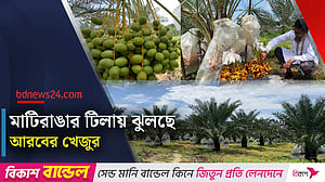 খাগড়াছড়িতে আরবের খেজুর চাষে সফল নুর আলম