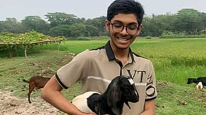 চলে গেল মাইলস্টোনের মাকিনও, মৃত্যু বেড়ে ৩৩