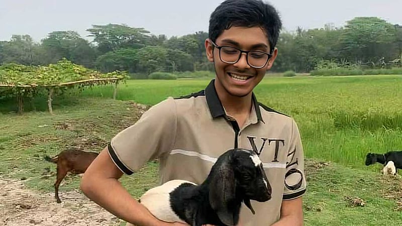 চলে গেল মাইলস্টোনের মাকিনও, মৃত্যু বেড়ে ৩৩