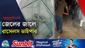 মানিকগঞ্জের চরে মিলল রাসেলস ভাইপার