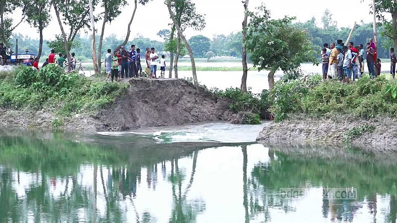 নীলফামারীতে তিস্তা সেচ খালের বাঁধে ধস, ৯০ একর আমন ক্ষেত পানিতে
