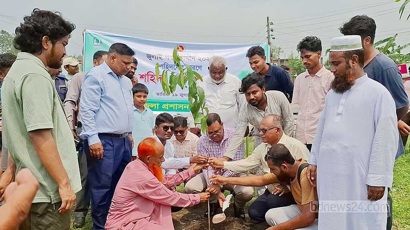 নওগাঁয় জুলাই শহীদদের স্মরণে বৃক্ষ রোপণ