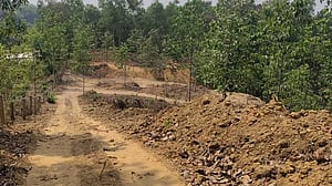 পাহাড় কাটায় কোয়ান্টাম ফাউন্ডেশনকে ৫৫ লাখ টাকা অর্থদণ্ড