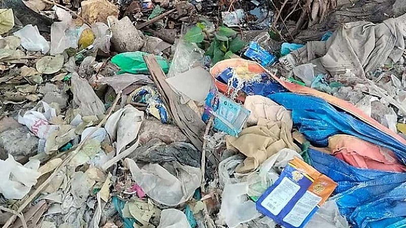 দুই মাসেও জানা গেল না শিশু রোজা মনি খুনের রহস্য