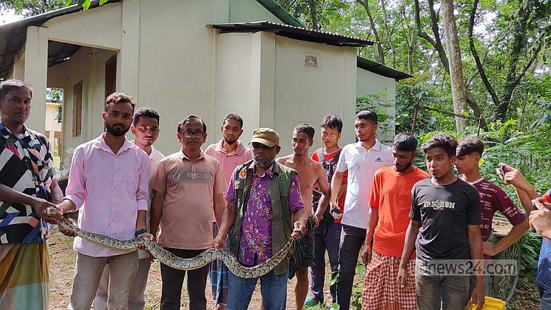 শেরপুর সীমান্তে উদ্ধার বার্মিজ অজগর মধুটিলা ইকোপার্কে অবমুক্ত