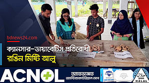 ‘ক্যানসার-ডায়াবেটিস প্রতিরোধ করবে’ বাকৃবির উদ্ভাবিত রঙিন মিষ্টি আলু