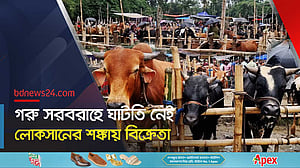 বাগেরহাটে ক্রেতার খরা, পশু বেচাকেনায় ভাটা