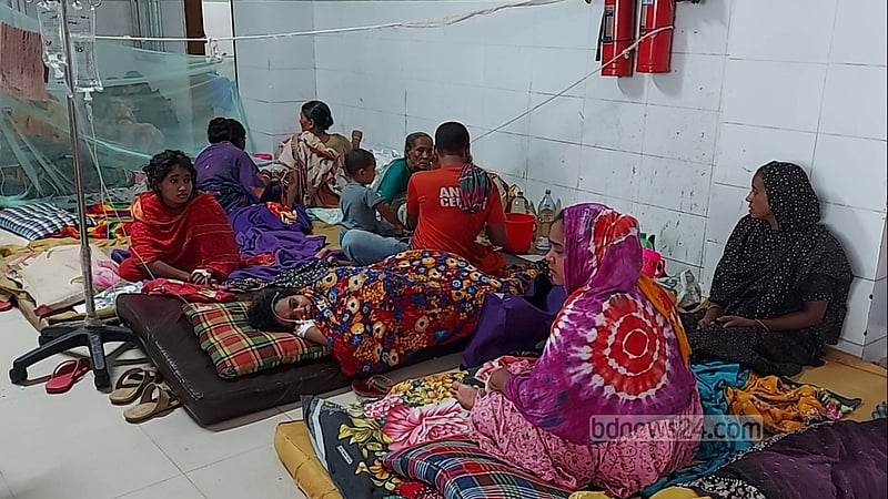এইডিস মশার চরম ঝুঁকিতে বরগুনা, পানির ড্রামের মুখ বন্ধ রাখার তাগিদ
