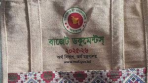 বাজেটে আশাহত ডিসিসিআই, ফিকিরও উদ্বেগ
