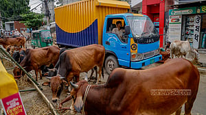 মাঠ ছাড়িয়ে সড়কে গরুর হাট