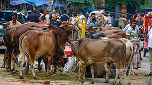ঈদ উৎসবে রঙিন অর্থনীতি