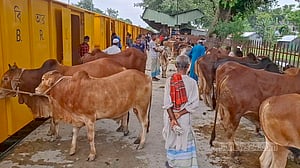 জামালপুর থেকে ঢাকায় ক্যাটল স্পেশাল ট্রেনে