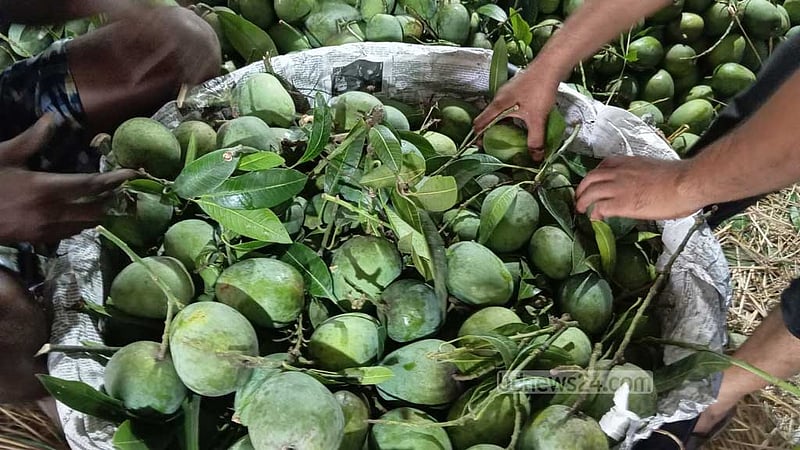 একদিনের ব্যবধানে খিরসাপাতের বাজার দর বাড়ল হাজার টাকা