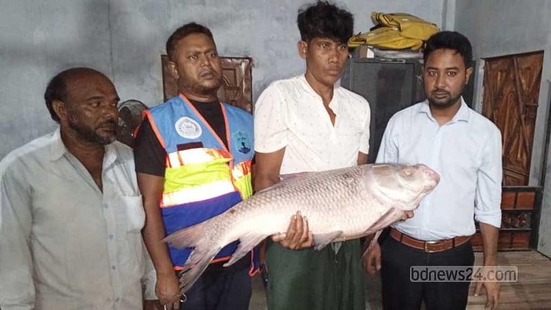 হালদা থেকে ২ মরা মাছ উদ্ধার