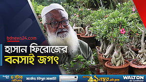 এ যেন ‘বনসাইয়ের জাদুঘর’