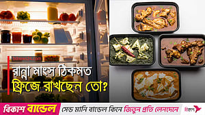 যেসব ভুলে নষ্ট হয় ফ্রিজে রাখা রান্না মাংস