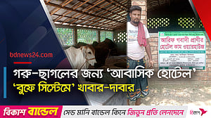 মানুষের মত গরু-ছাগলের জন্যও ‘আবাসিক হোটেল’, ‘বুফে সিস্টেমে’ খাবার-দাবার