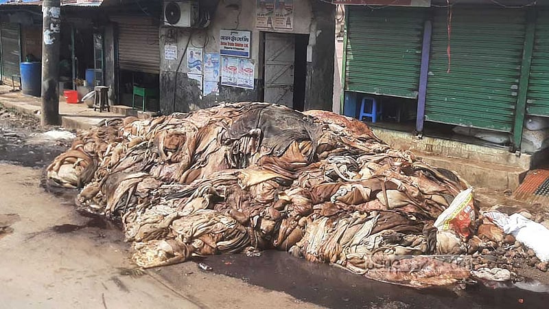 চট্টগ্রামে হাজার হাজার চামড়া নষ্ট হলো কেন?