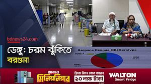 বরগুনায় এইডিস মশা বেশি কেন? কী বলছে আইইডিসিআর