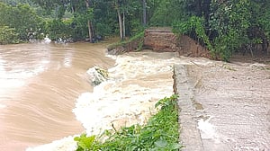 ফেনীতে মুহুরী ও সিলোনিয়ার বাঁধে ভাঙন, ৯ গ্রাম প্লাবিত