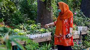 ফুটপাতের নার্সারিতে এক টুকরো সবুজ