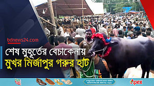 গাজীপুর জমে উঠেছে ভাওয়াল মির্জাপুর গরুর হাট