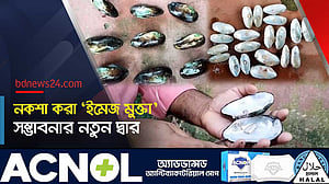 পুকুরে মাছের সঙ্গে মুক্তা চাষে সফলতা