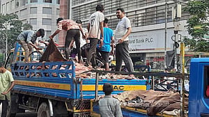 চামড়া: পাড়া-মহল্লায় মৌসুমি ব্যবসায়ীদের হাঁকডাক