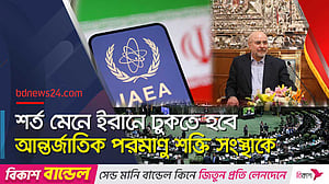 আইএইএর সঙ্গে সহযোগিতা স্থগিতের প্রস্তাব, সম্মতি ইরান পার্লামেন্টের