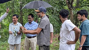 খাগড়াছড়িতে উদ্ধারের দেড় মাস পর বনে অবমুক্ত জোড়া টিয়া