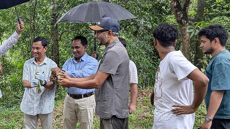 খাগড়াছড়িতে উদ্ধারের দেড় মাস পর বনে অবমুক্ত জোড়া টিয়া