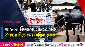 খালেদার জন্য ‘কালো মানিক’ নিয়ে ঢাকার পথে পটুয়াখালীর সোহাগ