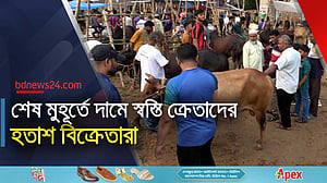 খিলক্ষেত হাটে তুলনামূলক কম দামে মিলছে কোরবানির পশু