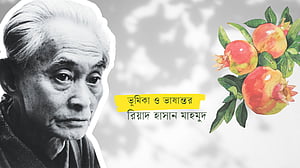 ইয়াসুনারি কাওয়াবাতার গল্প: ডালিম