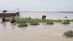 কুড়িগ্রামে বৃষ্টিতে ভেসে গেছে ১৩৪ হেক্টর জমির ফসল