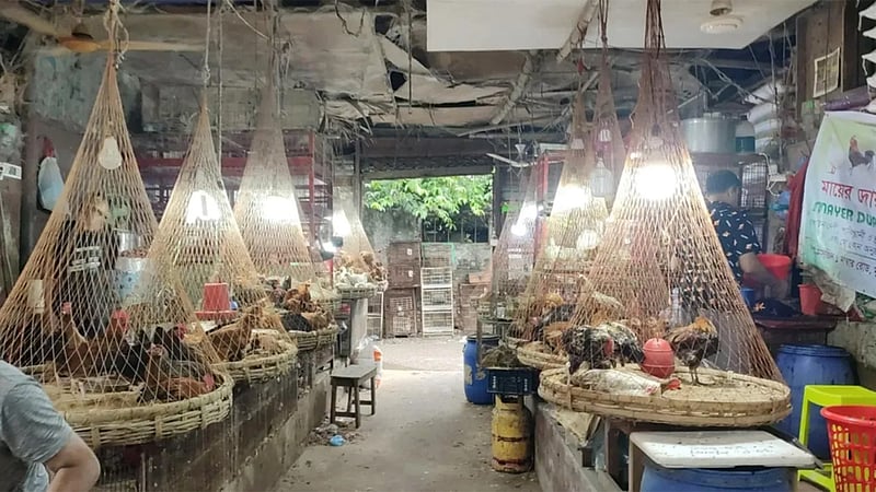 চড়েছে সোনালি মুরগি-আলু, কমেছে ডিমের দাম
