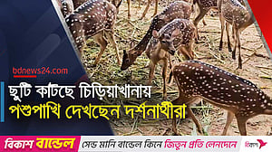 ঈদের ছুটিতে সরগরম মিরপুর চিড়িয়াখানা, এসেছে নতুন পশুপাখি