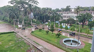 বাকৃবির গবেষণা প্রকল্পের খামার থেকে ১৪ ভেড়া চুরি