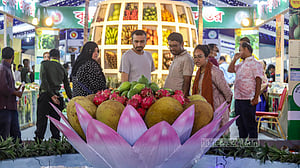 জাতীয় ফল মেলায় নানা জাতের ফল