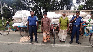 নাটোরে জমি থেকে লুটের ভুট্টা জব্দ, গ্রেপ্তার ২