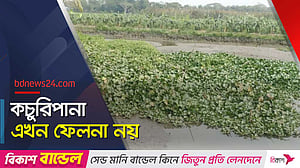 বাড়তি আয়ের পথ দেখাচ্ছে কচুরিপানা