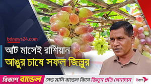 রাজবাড়ীর জিল্লুরের বাগানে থোকা থোকা রঙিন আঙুর