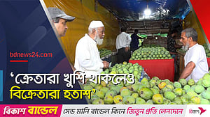 ভরা মৌসুমেও ‘ভালো দাম’ নেই, দুশ্চিন্তায় রাজশাহীর আমচাষিরা