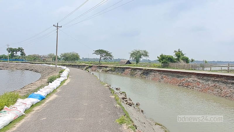 সাতক্ষীরায় আড়াই কিলোমিটার সড়ক ভেঙে কলকাতা খালে, ঝুঁকিতে ১২ গ্রাম