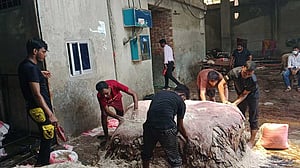 সাভারে চামড়া কম আসছে, দাবি ট্যানারি মালিকদের