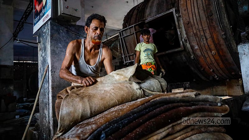 কাঁচা চামড়া: উন্মুক্ত দামেই সংকটের সমাধান