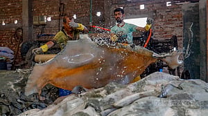 ট্যানারিতে চামড়া সংরক্ষণের ব্যস্ততা