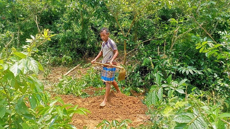 শেরপুরের সীমান্তে মৃত হাতি শাবকের ময়নাতদন্ত শেষে মাটিচাপা